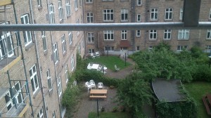 La vue sur la cours arrière depuis la cuisine.